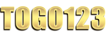 Logo TOGO123